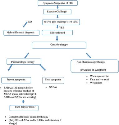 Exercise-Induced <mark class="highlighted">Bronchospasm</mark> and Allergy